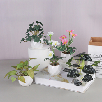 Mini ghiveci ceramic pentru suculente, cu textură velur și motiv lotus-diamant, decor de birou