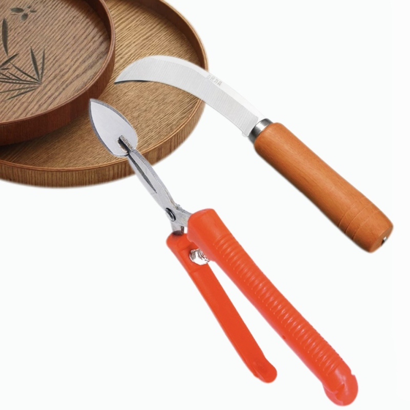 Instrument de deschidere pentru pepene și durian, clește pentru deschiderea cojii, divizor de fructe și tăietor de fructe