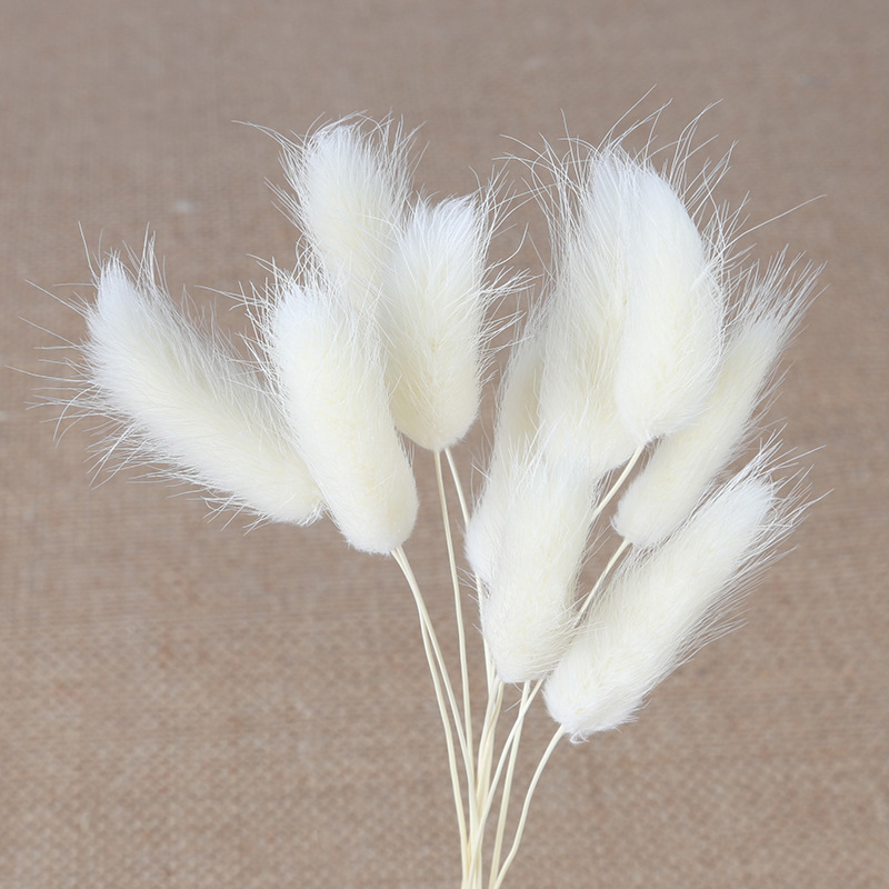 Flori uscate din ratan și foxtail pentru accesorii de aromaterapie — lucrate manual