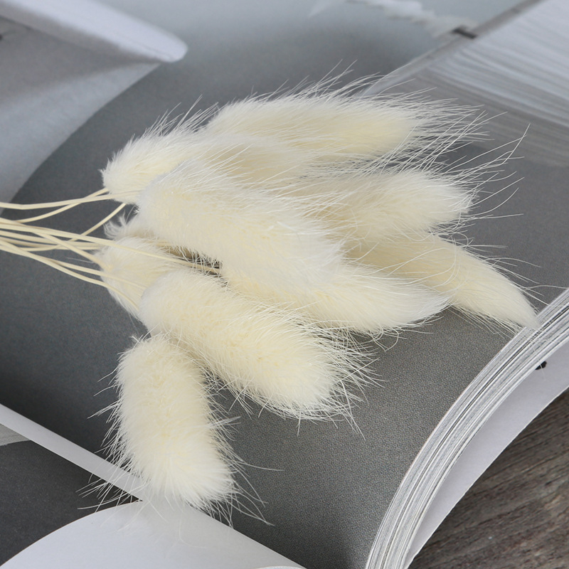 Flori uscate din ratan și foxtail pentru accesorii de aromaterapie — lucrate manual