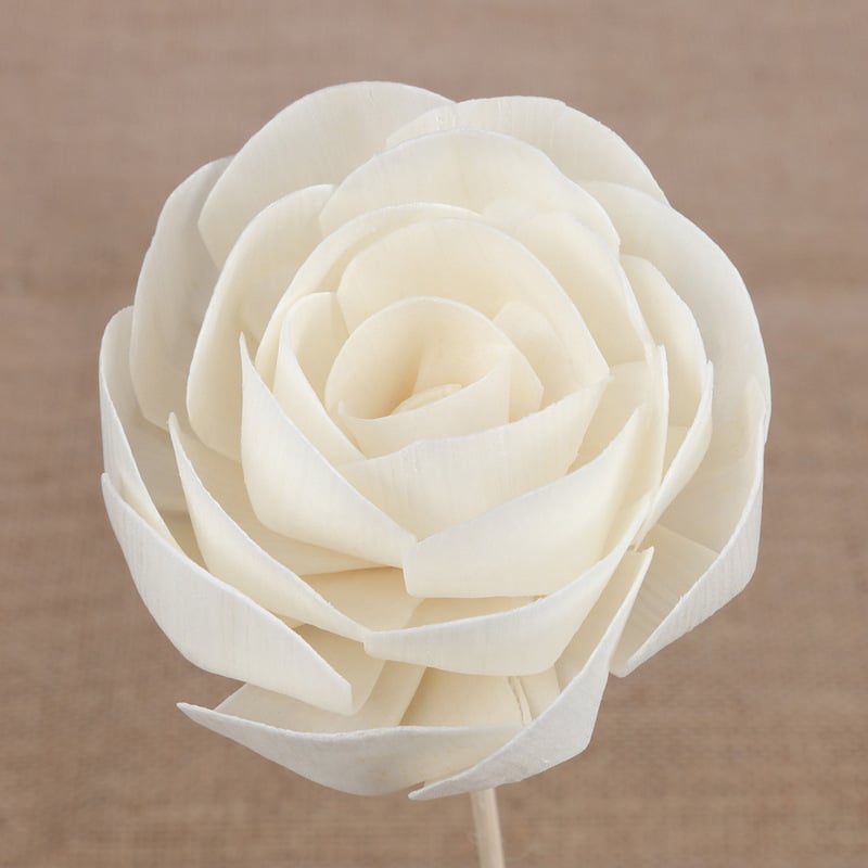 Floare uscată Tongcao cu tulpina din ratan — aranjament floral aromaterapeutic pentru decorul casei