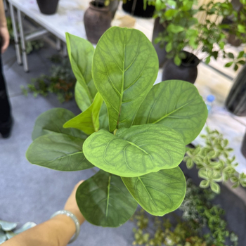 Ficus Lyrata artificial, plantă în ghiveci, stil nordic, decor pentru casă și grădină