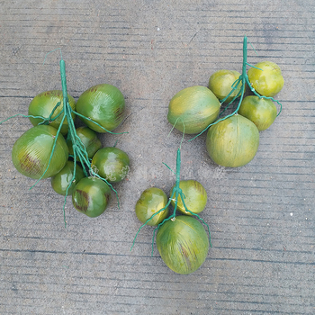 Copac artificial de cocos, înălțime 20 cm, cu fructe de cocos – recuzită pentru ședințe foto
