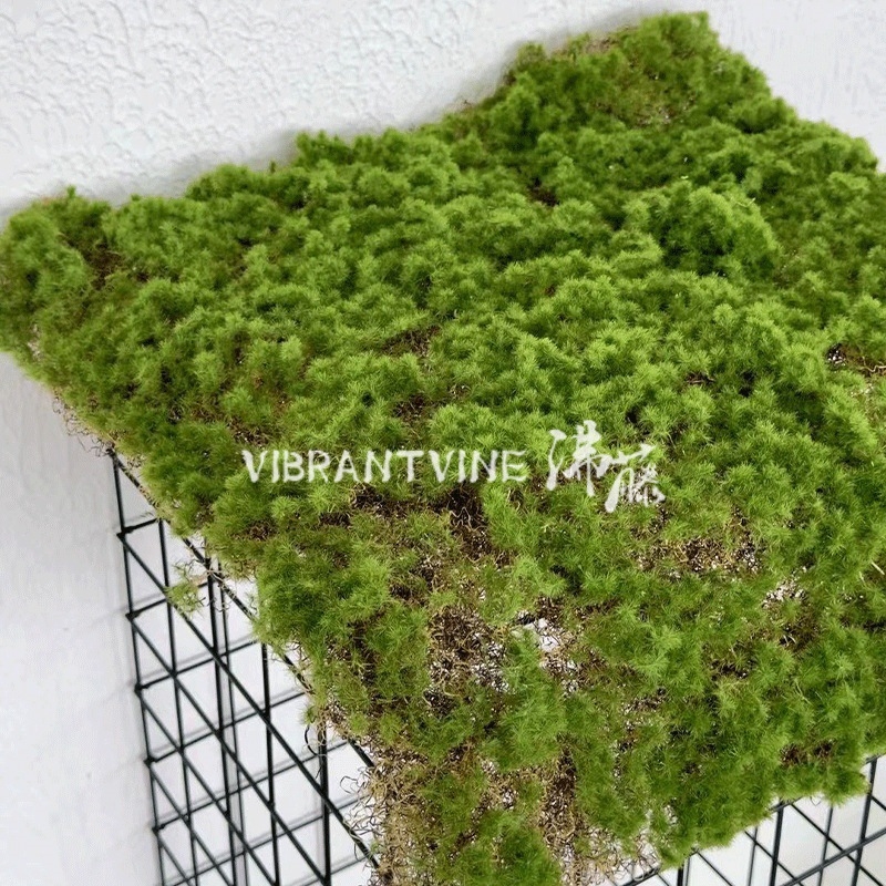 Gazon artificial pentru perete, textură de mușchi, decor interior