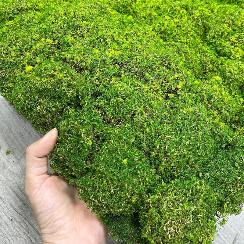 Covor artificial cu aspect de mușchi, textură flok pentru pereți cu plante și amenajare interioară