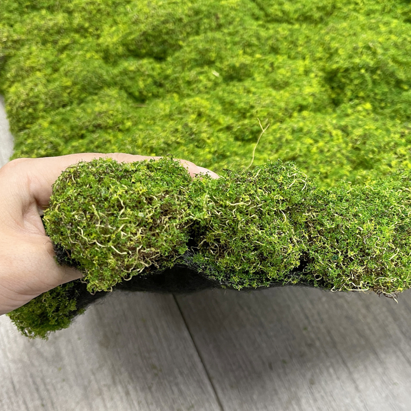 Covor artificial cu aspect de mușchi, textură flok pentru pereți cu plante și amenajare interioară