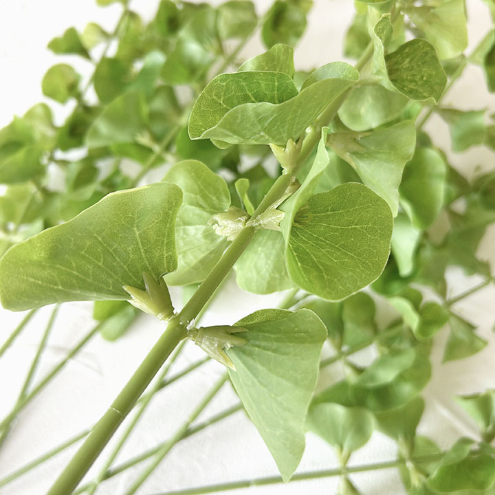 Floare artificială verde cu tulpină unică pentru decor în casă și aranjamente florale