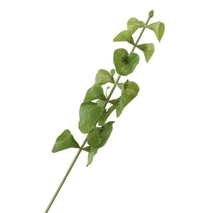 Floare artificială verde cu tulpină unică pentru decor în casă și aranjamente florale