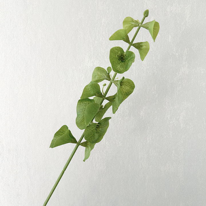 Floare artificială verde cu tulpină unică pentru decor în casă și aranjamente florale