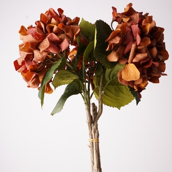 Flori artificiale de înaltă calitate, cu atingere plăcută și senzație hidratantă, hortensie mare în nuanțe de toamnă, temă retro, aranjament floral de interior și fundal decorativ