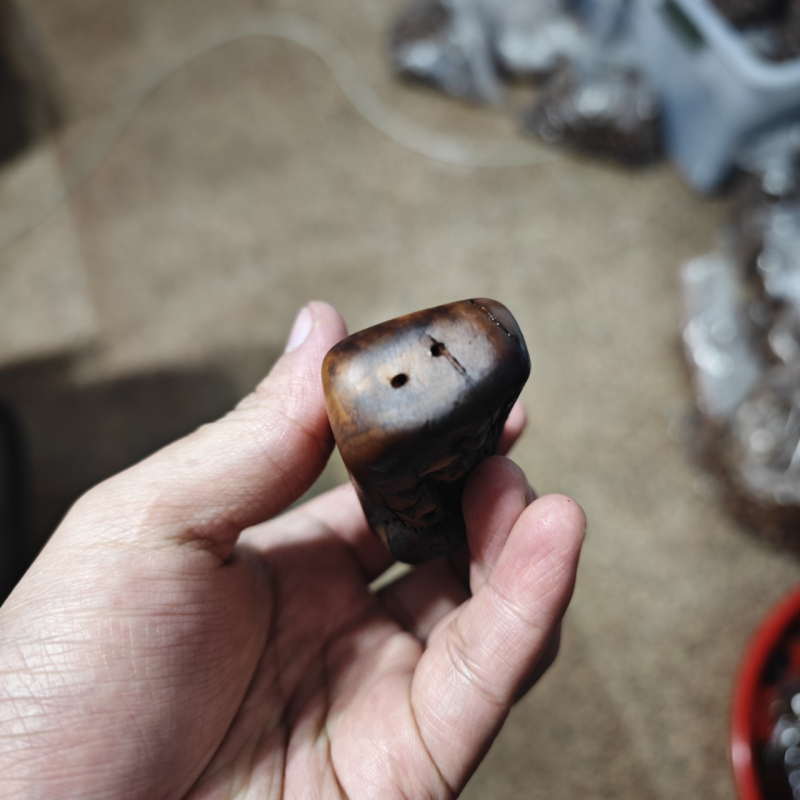 Gromom pogođeno drvo jujube, ručni taoistički ritualni alat i talisman za mir, veličina 6-li