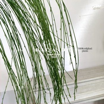 Ramuri artificiale de salcie, plantă verde din plastic cu frunze de salcie, decor pentru perete și tavan
