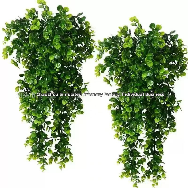 Aranjament de perete din ratan artificial cu eucaliptus — plantă atârnătoare decorativă pentru interior și exterior