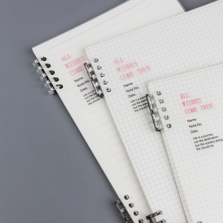 Caiet PP cu copertă moale și husă transparentă, design drăguț minimalist cu linii orizontale, format A5, umplere cu 10 găuri