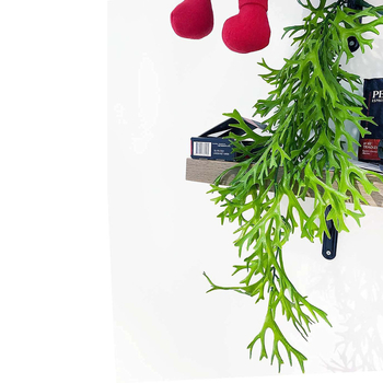 Plantă artificială pentru perete cu ferigi atârnate și liane, decor de interior