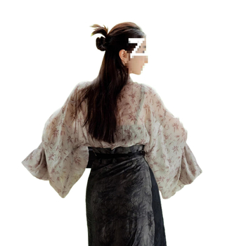 Hanfu set u kineskom stilu: top s plisiranom suknjom i naramenicama, detalj od bambus čvora, nadahnut dinastijama Wei i Jin
