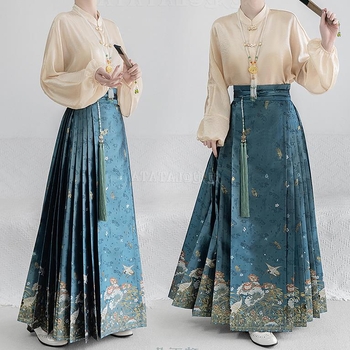 Plus-size Hanfu set u Ming stilu sa zlatom prešivanim i suknjom horse-face uz cvjetnu izvezenu