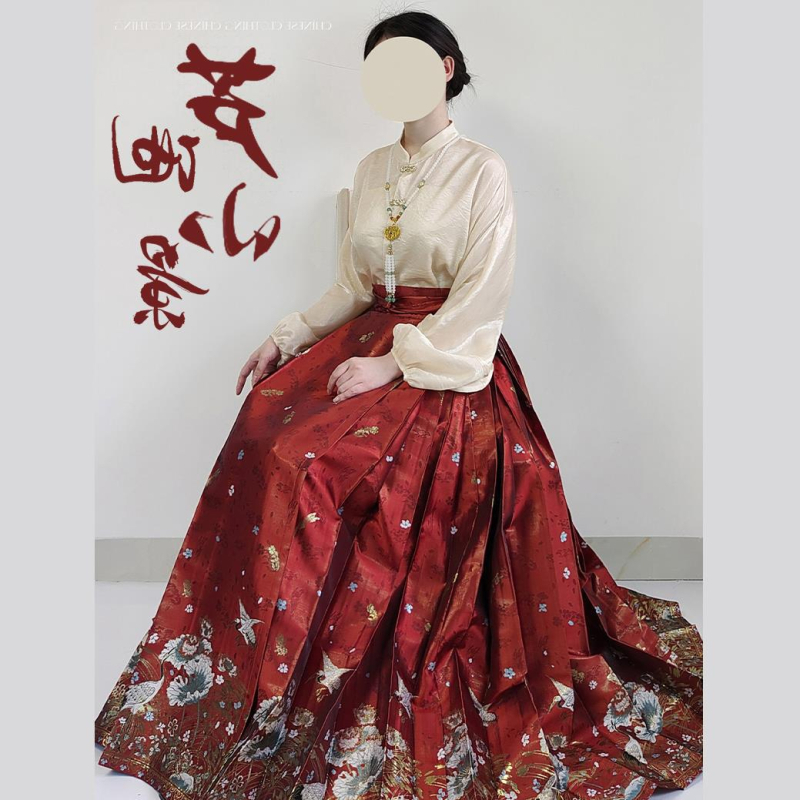 Plus-size Hanfu set u Ming stilu sa zlatom prešivanim i suknjom horse-face uz cvjetnu izvezenu
