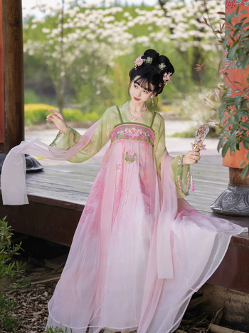 Ženski Hanfu set s širokim rukavima i suknjom do struka, izvezen i otisnut, nadahnut dinastijom Song, za svakodnevno nošenje