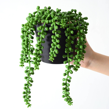 Lover's Tears succulent artificial, plantă agățătoare în ghiveci cu mărgele Buddha, 35 cm înălțime