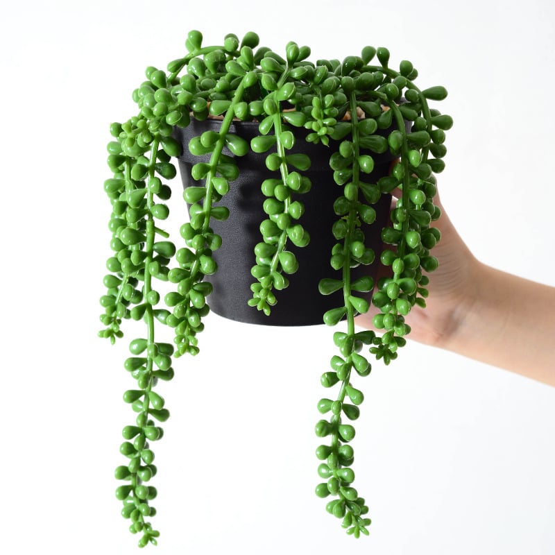 Lover's Tears succulent artificial, plantă agățătoare în ghiveci cu mărgele Buddha, 35 cm înălțime