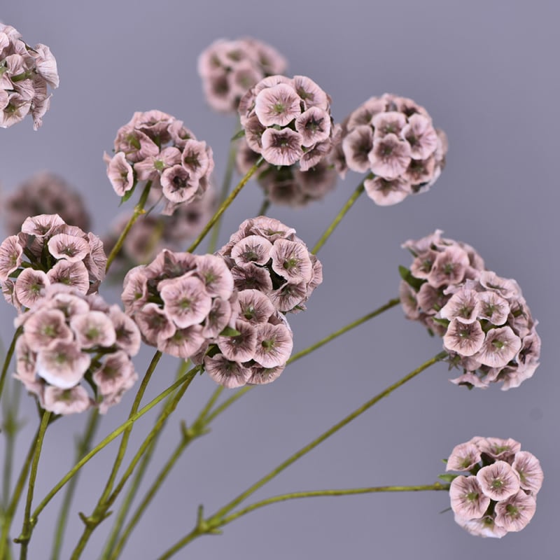 Floare de mătase într-un ghiveci albastru — aranjament floral artificial, pentru nunți și ședințe foto