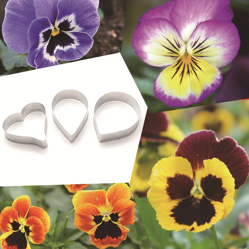 Forme fondant pentru tort, din oțel inoxidabil — petale de pansy, set de instrumente de modelare DIY A383