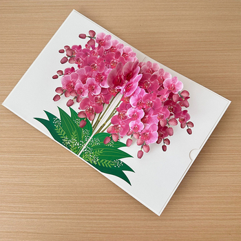 Felicitare 3D din hârtie cu Phalaenopsis pentru Ziua Profesorului