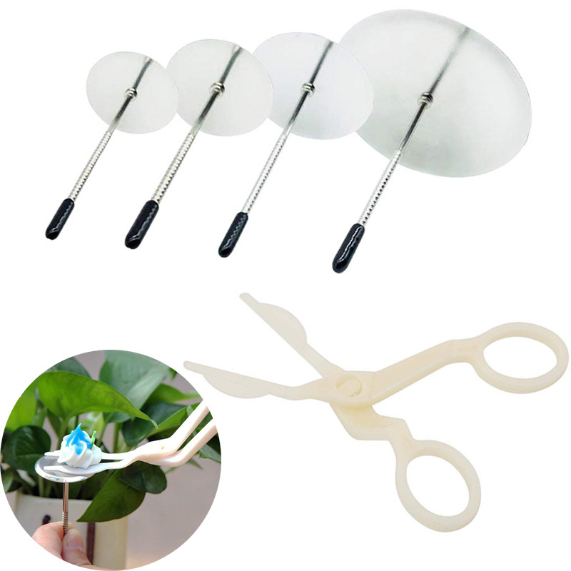 Set de decorare a torturilor, 5 piese: unghii pentru flori, foarfecă pentru tort și ustensile de decorare