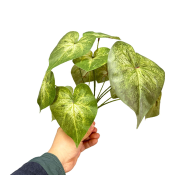 Plante artificiale verzi cu frunze de măr și taro, decor mini peisaj pentru perete, frunze lipite decorative