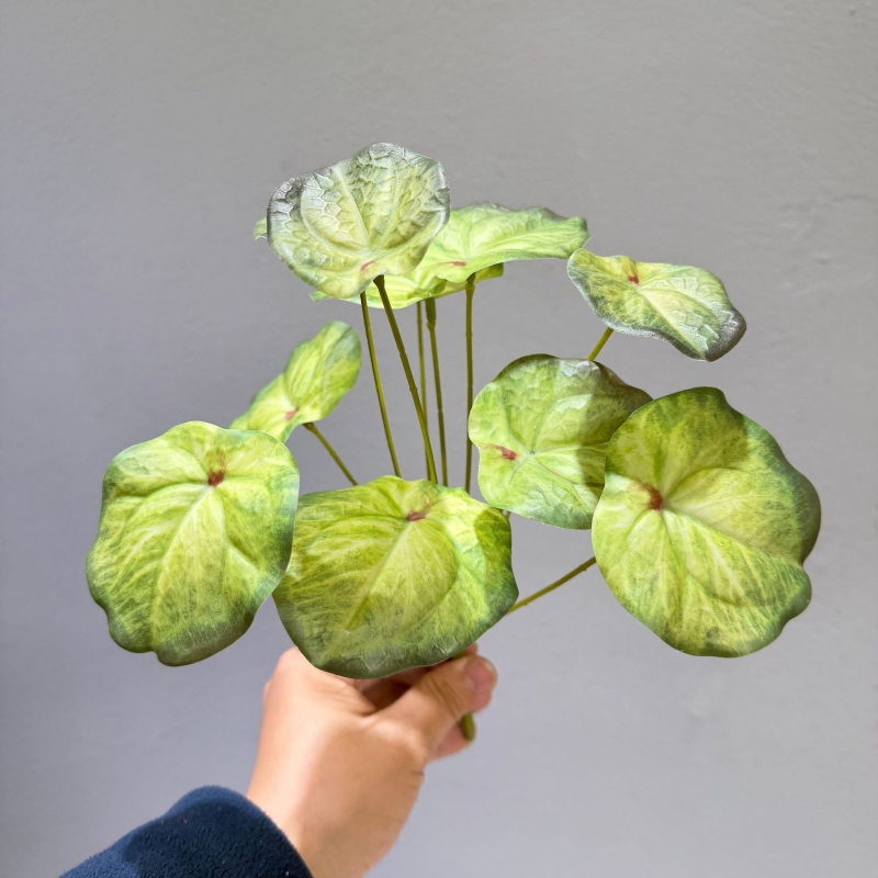 Plante artificiale verzi cu frunze de măr și taro, decor mini peisaj pentru perete, frunze lipite decorative