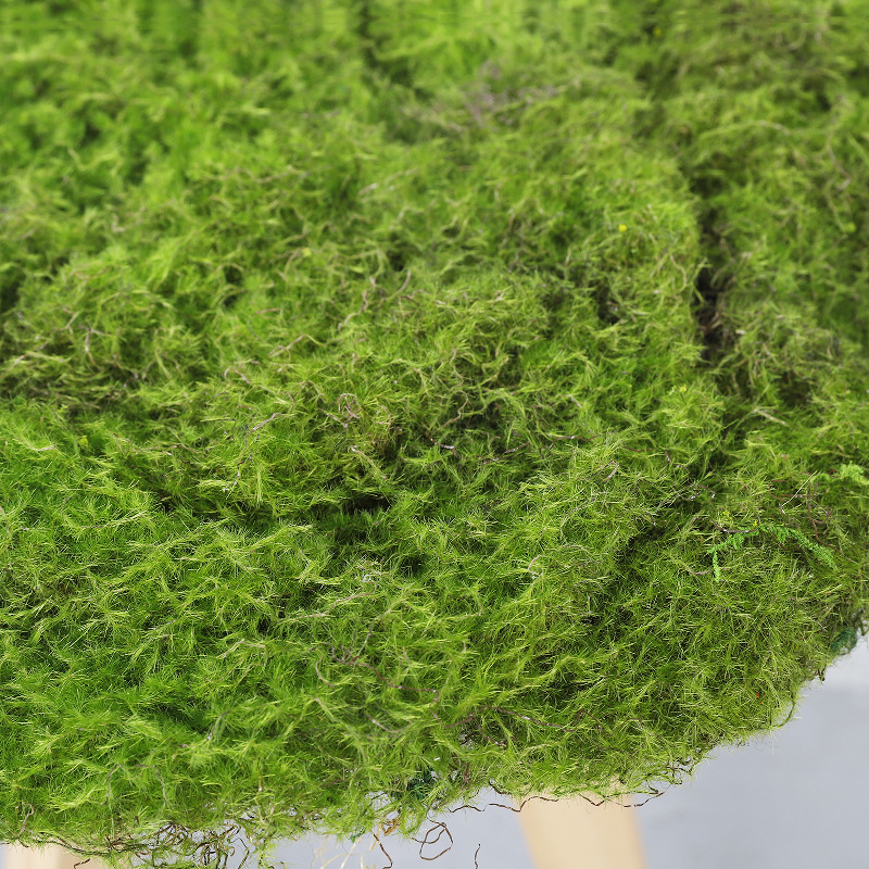 Gazon artificial exterior și mușchi pentru amenajări peisagistice, decor de perete cu plante decorative