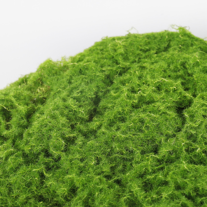 Gazon artificial exterior și mușchi pentru amenajări peisagistice, decor de perete cu plante decorative
