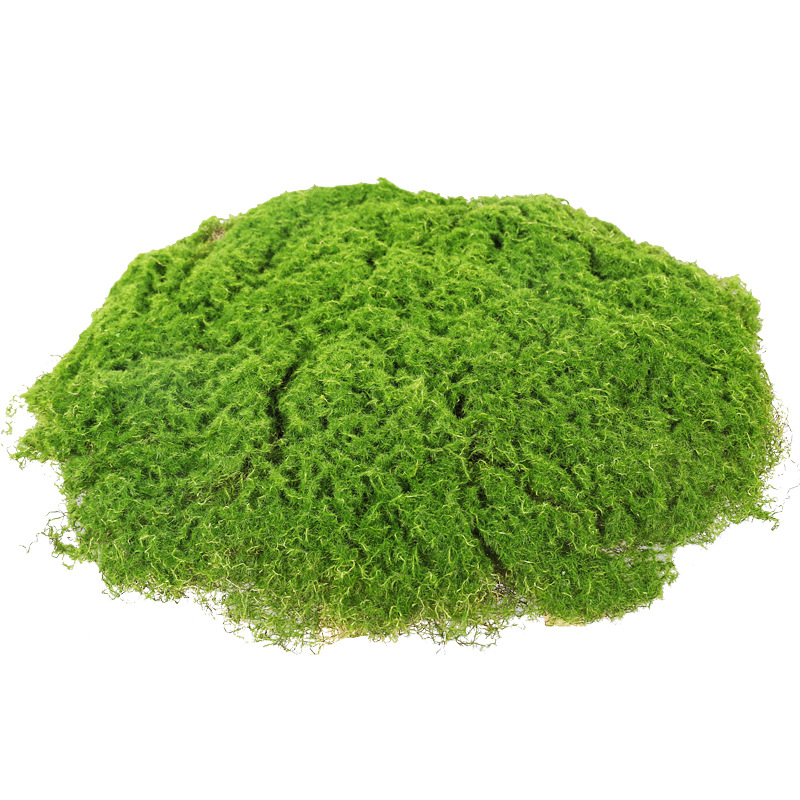 Gazon artificial exterior și mușchi pentru amenajări peisagistice, decor de perete cu plante decorative