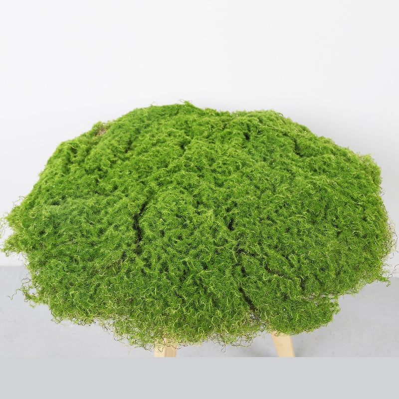 Gazon artificial exterior și mușchi pentru amenajări peisagistice, decor de perete cu plante decorative