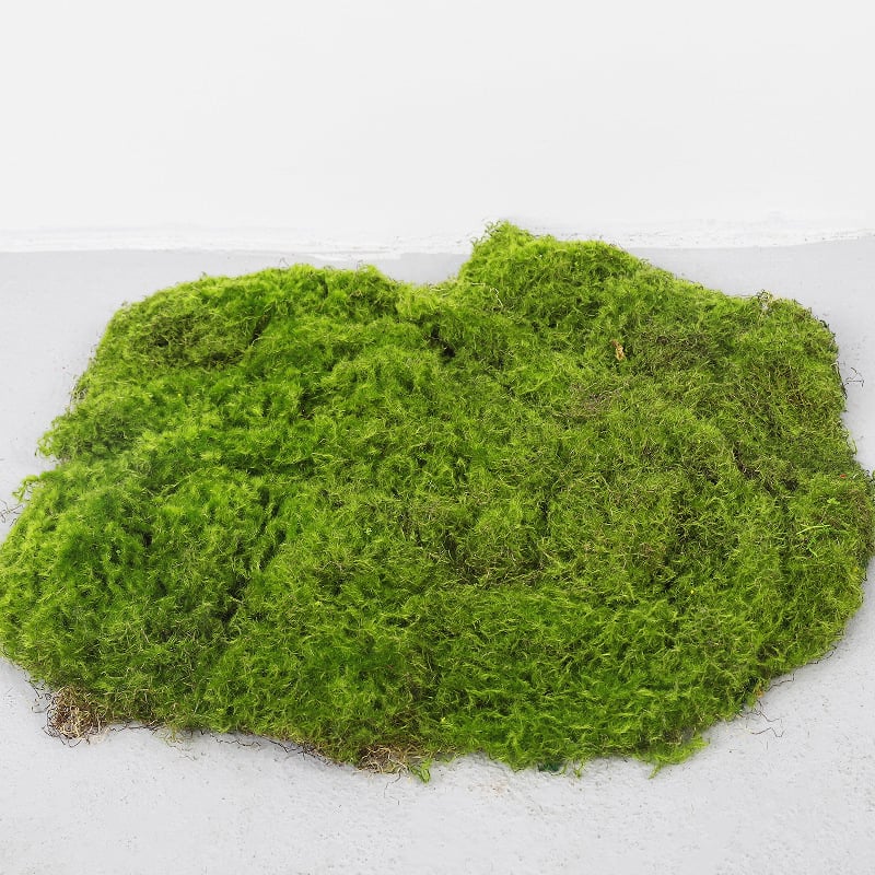 Gazon artificial exterior și mușchi pentru amenajări peisagistice, decor de perete cu plante decorative