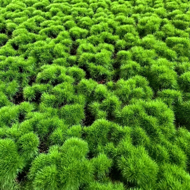 Mușchi artificial, covor cu mușchi flocat, bonsai din piatră pentru decor pe perete cu plante verzi