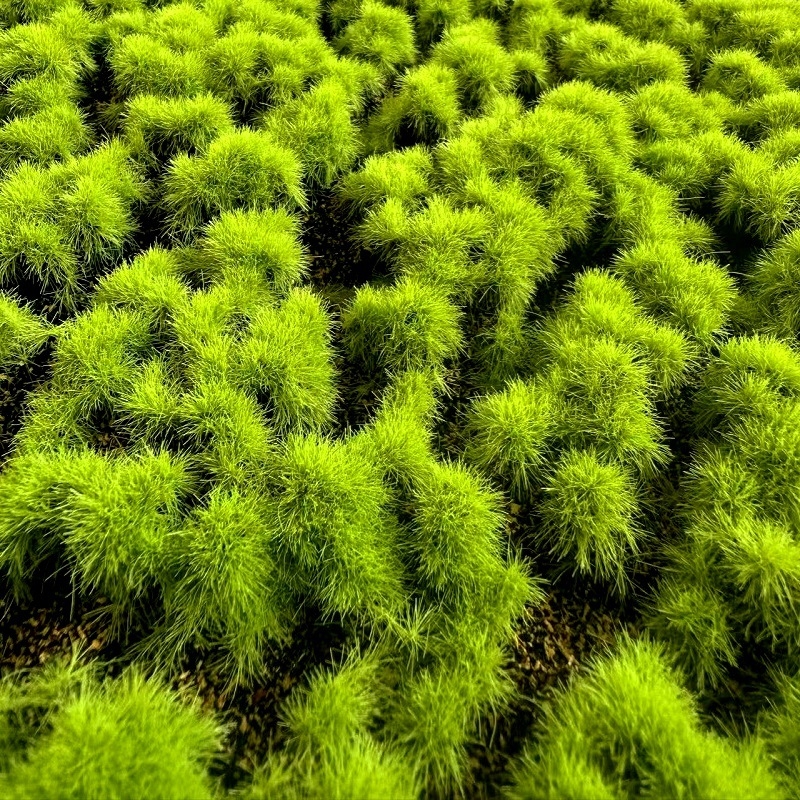 Mușchi artificial, covor cu mușchi flocat, bonsai din piatră pentru decor pe perete cu plante verzi