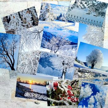 Set de 15 cărți poștale cu peisaj de iarnă în nord-est – Jilin și Heilongjiang