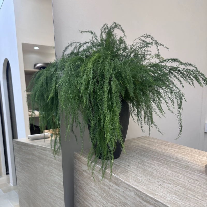 Dong Rui flori artificiale și plante verzi, înălțime 100–200 cm, pentru fundal de nuntă, decor de vitrină și recuzită fotografică