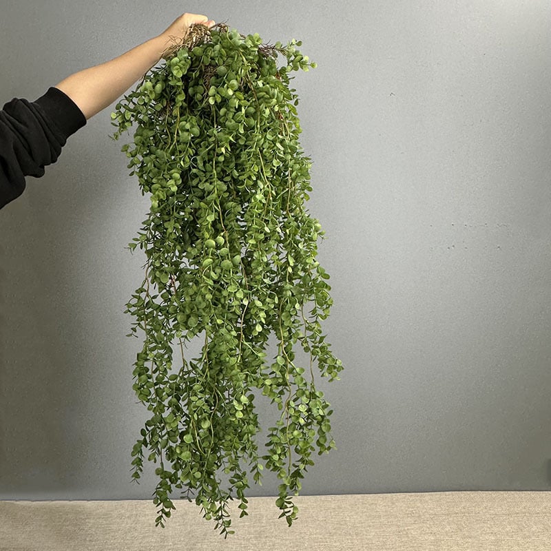Изкуствени висящи зелени растения за стена: Money Grass и папрати
