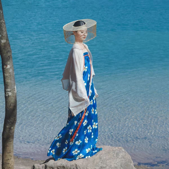 Jedinstvena Hanfu replika u Tang stilu s plavim glazurom i cvjetnim uzorkom, jednodijelna suknja iz dinastije Tang, proljetno-ljetni outfit iz hrama Famen i ostali komadi
