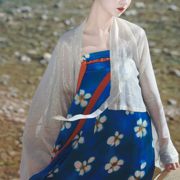 Jedinstvena Hanfu replika u Tang stilu s plavim glazurom i cvjetnim uzorkom, jednodijelna suknja iz dinastije Tang, proljetno-ljetni outfit iz hrama Famen i ostali komadi