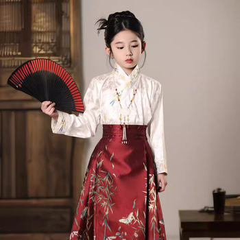 Premium Hanfu suknja za djevojčice, proljetni stil, Ming-inspirirani kineski kostim za mlade izvođačice Guzheng