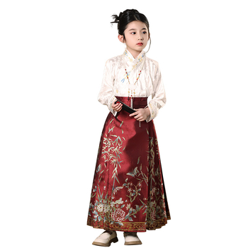 Premium Hanfu suknja za djevojčice, proljetni stil, Ming-inspirirani kineski kostim za mlade izvođačice Guzheng