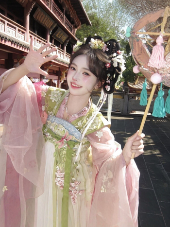 Hanfu 2026 Shanze Proljeće Begonija Roza Cvjetni Otisak Tang Stil Suknja s visokim strukom, širokim rukavima i vezom