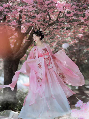 2025 proljeće/ljeto floralni Hanfu set, Tang dinastija stil, ženski izvezeni kostim sa širokim rukavima