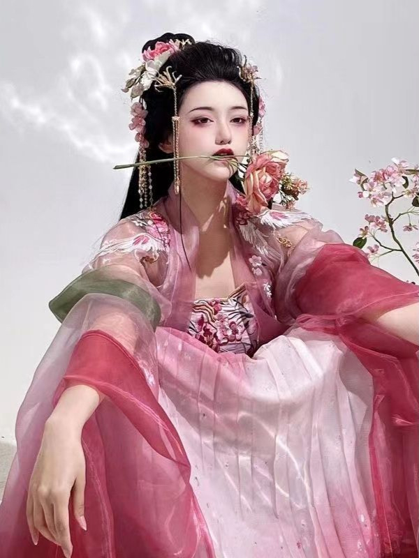 Odrasli Hanfu set: inspiriran Tang dinastijom, izvezeni dvodijelni Hanfu komplet s topom sa širokim rukavima, proljeće-ljeto