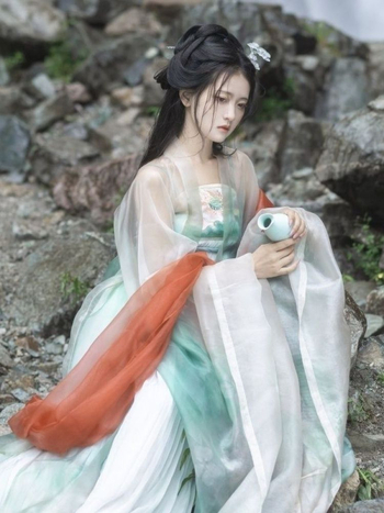 Hanfu u Tang stilu: izvezeni gornji dio do razine prsiju sa širokim rukavima i suknja s hawthorn otiskom