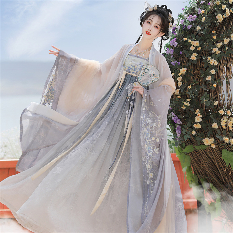 Ženski Hanfu dinastije Tang, ljeto, novi model Xiaoxiang Fantasy Night, Hezi suknja, kinesko nadahnuće, redizajniran dnevni komplet